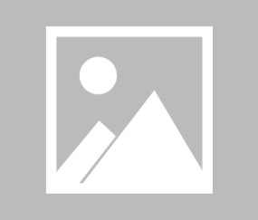 kaiyun官方-鹰击长空，内马尔关键节点战术蜕变，老鹰智慧引领胜利航向，鹰击长空，内马尔战术蜕变，以老鹰智慧决胜关键